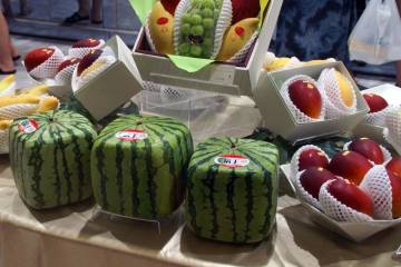 Kvadratiska vattenmeloner.