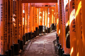 Små röda portar vid ett tempel i Japan